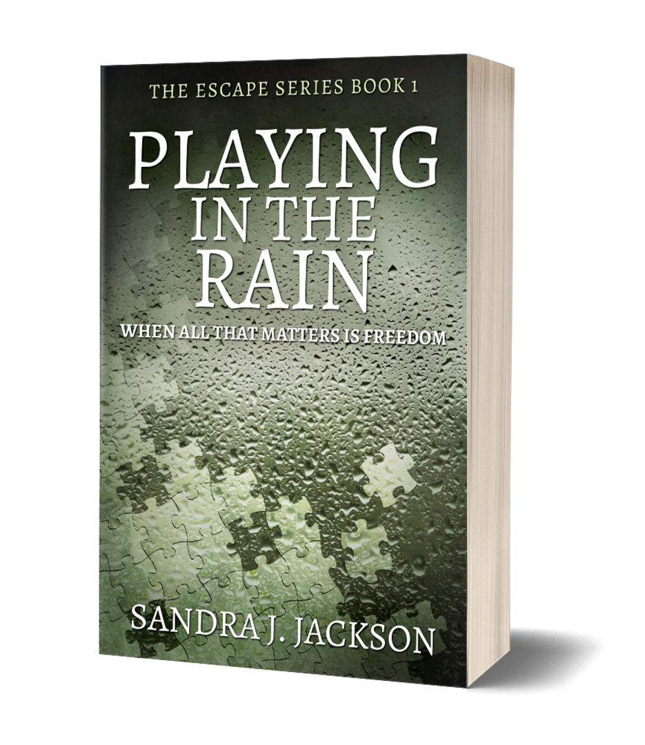 Book cover of Playing in the Rain